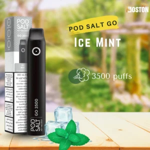 Pod Salt Go Ice Mint 20 mg 3500 Puffs Disposable Vape