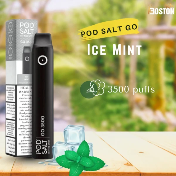 Pod Salt Go Ice Mint 20 mg 3500 Puffs Disposable Vape
