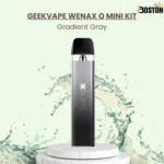 Geekvape Wenax Q Mini Gradient Gray Kit