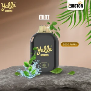 Yalla Pebble Mint 20mg