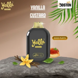 Yalla Pebble Vanilla Custard 20mg
