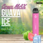 Crave MAX Guava Ice 2500 Puffs Disposable Vape