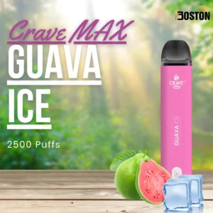 Crave MAX Guava Ice 2500 Puffs Disposable Vape