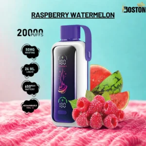 Vozol Star 20K Puffs Raspberry Watermelon