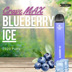 Crave MAX Blueberry Ice 2500 Puffs Disposable Vape