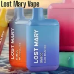 The Rise of Lost Mary Vape