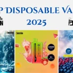 Top Disposable Vapes 2025