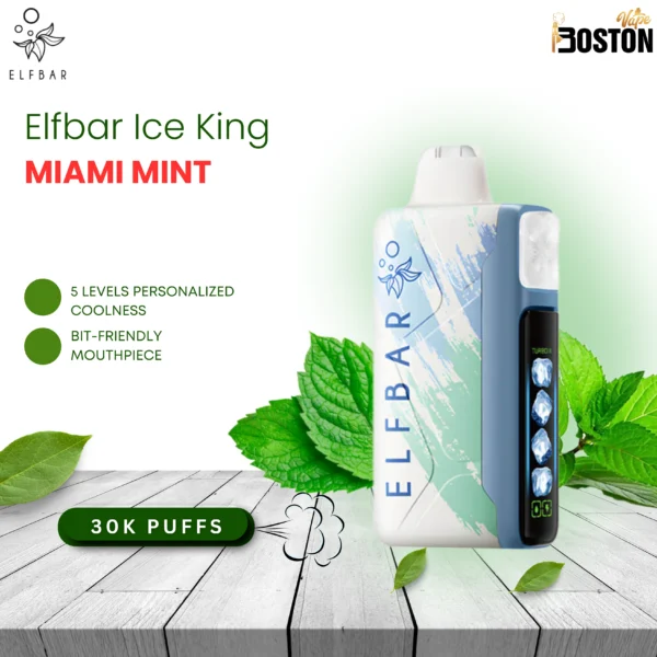 Elfbar Miami Mint 30k Puffs