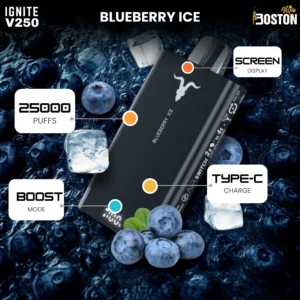Ignite Blueberry Ice 25000 Puffs