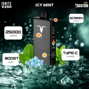 Ignite Ice Mint 25000 Puffs