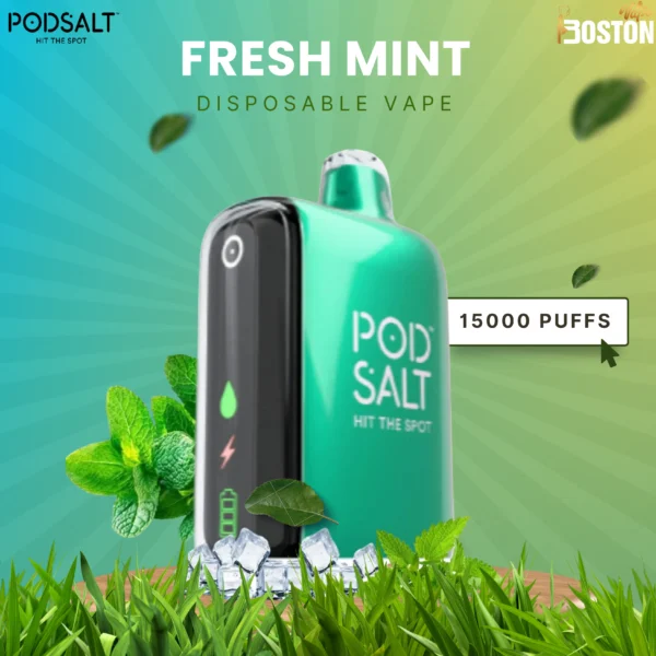 Podsalt Fresh Mint Disposable Vape 15k Puffs