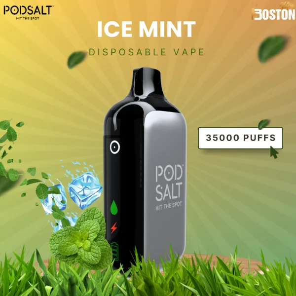 Podsalt Ice Mint Disposable Vape 35k Puffs