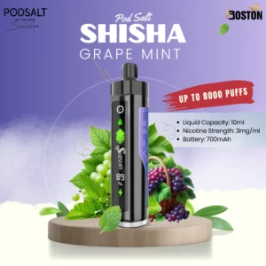 Pod Salt shisha 8k puffs - Grape Mint
