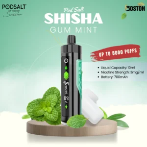 Pod Salt shisha 8k puffs - Gum Mint