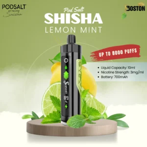 Pod Salt shisha 8k puffs - Lemon Mint