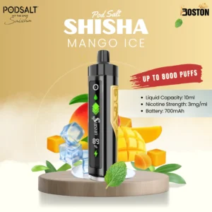Pod Salt shisha 8k puffs - Mango Ice