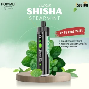 Pod Salt shisha 8k puffs - Spearmint