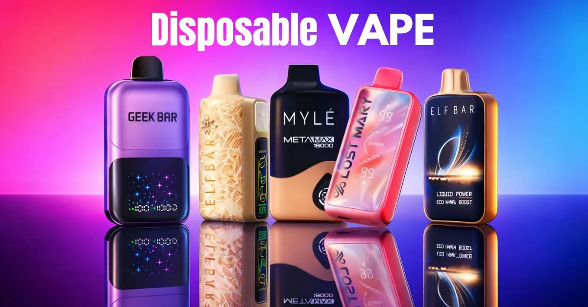 WhatsApp Image 2026-01-05 at 7.26.31 PM (1)