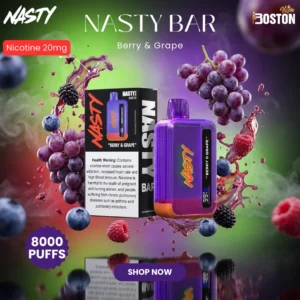 Nasty bar Berry & Grape 8000 Puffs Disposable Vape